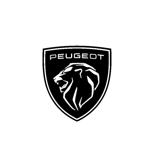 Peugeot Ekran Koruyucular