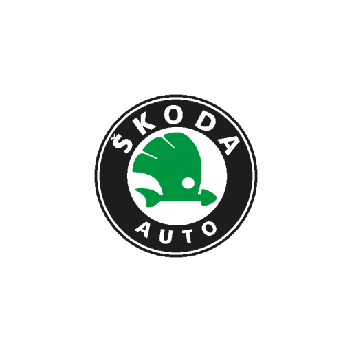 Skoda Ekran Koruyucular
