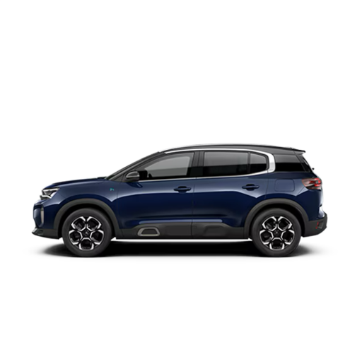 C5 Aircross Ekran Koruyucular