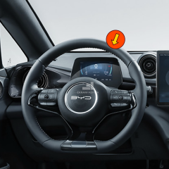 Byd Dolphine 5'' Gösterge Ekran Koruyucu