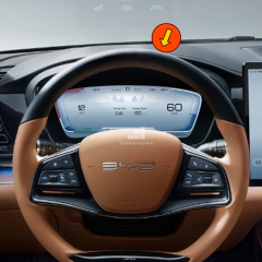 Byd Han 12.3'' Gösterge Ekran Koruyucu