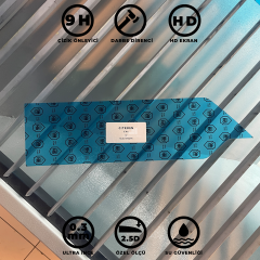 Citroen C4x 10'' Multimedya Ekran Koruyucu 9H+