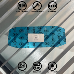Cupra Leon 10.25'' Gösterge Ekran Koruyucu