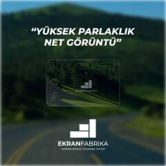 Skoda Scala 8.25'' Multimedya Ekran Koruyucu